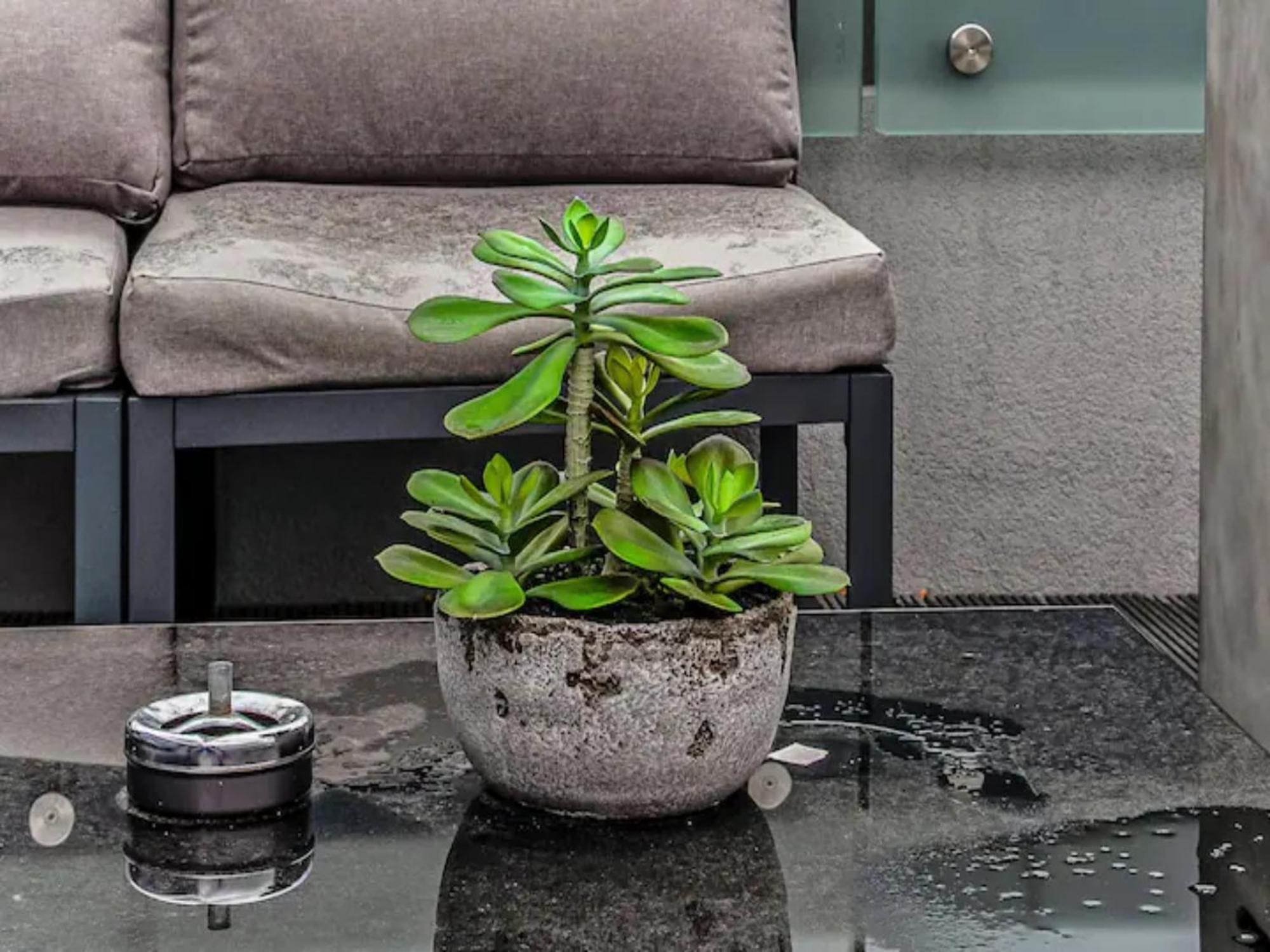 Pass The Keys Penthouse Oasis In Trendy Fulham Apartment London Bagian luar foto